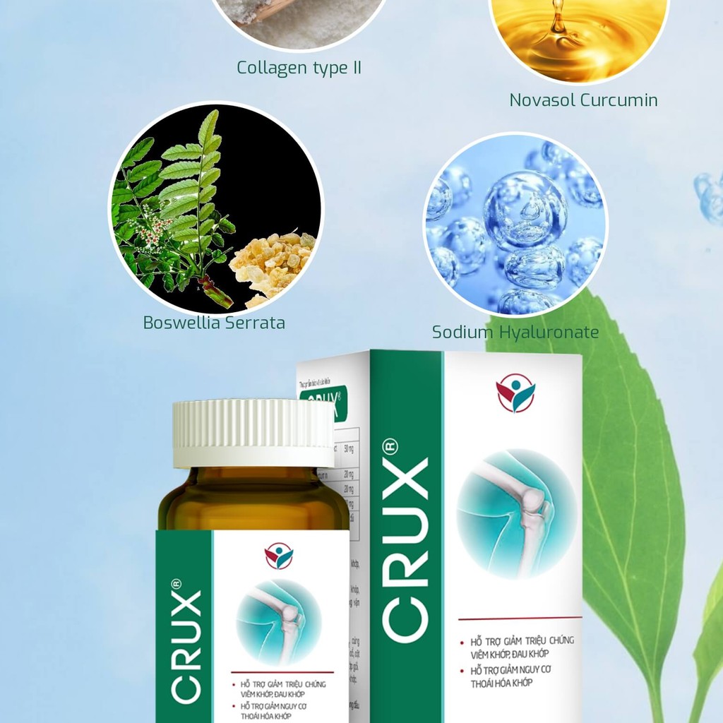 Crux – Viên uống hỗ trợ điều trị viêm khớp (Hộp 20 viên)