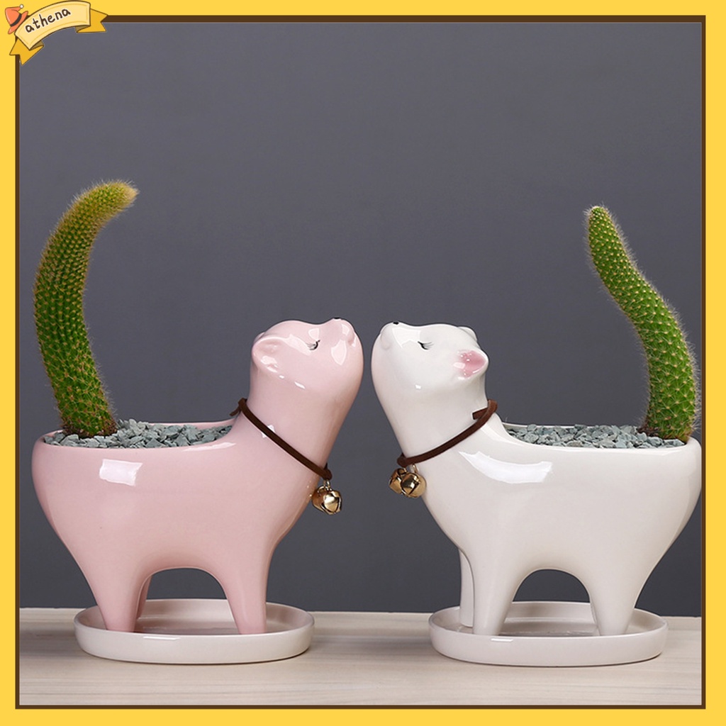 Chậu trồng cây trang trí hình mèo con dễ thương
