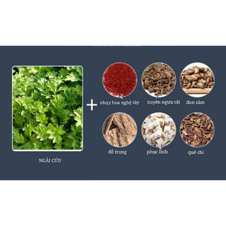 Thảm Ngải Cứu. Kèm ảnh thật