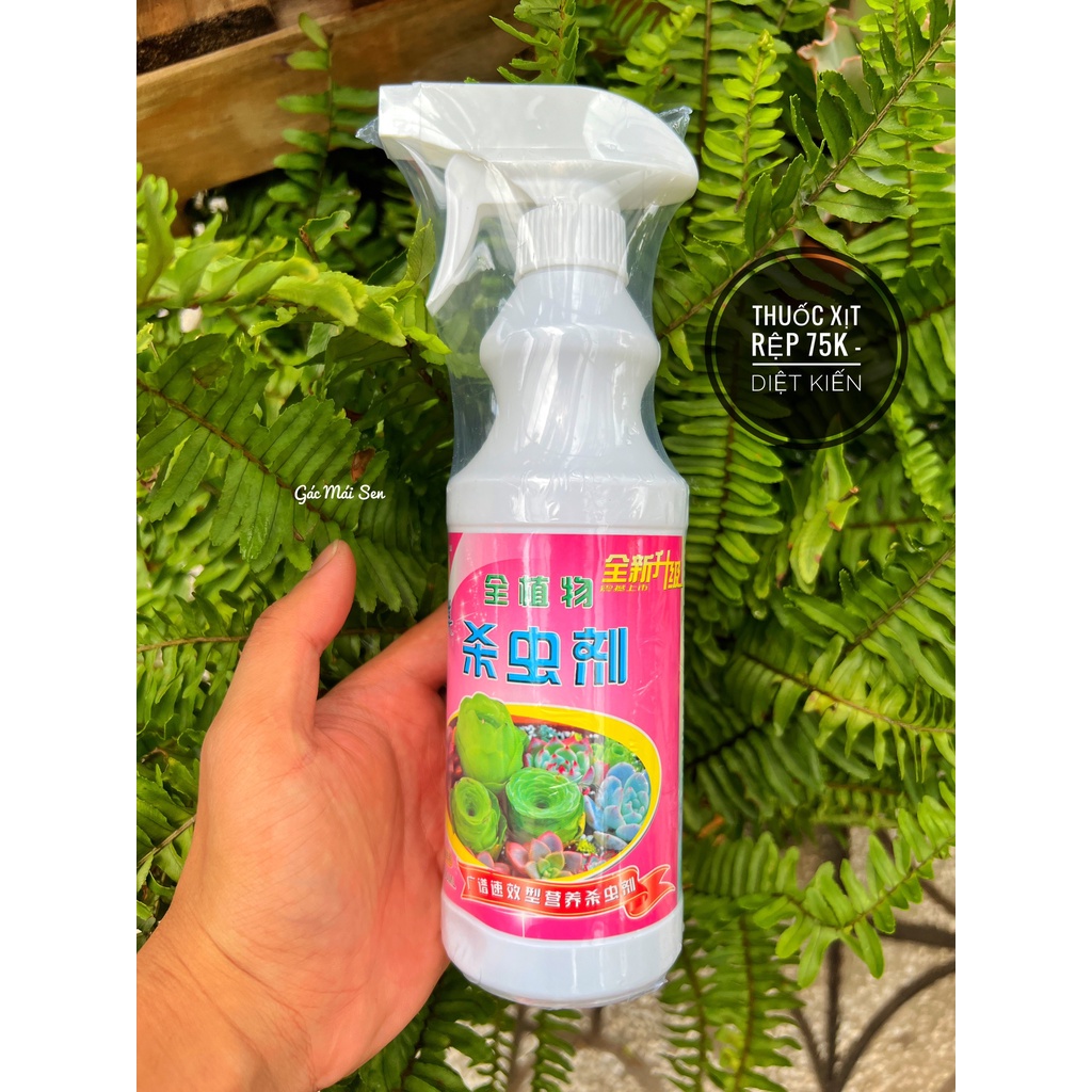 Dung dịch hưu cơ xịt rệp, các bệnh cây xương rồng - sen đá