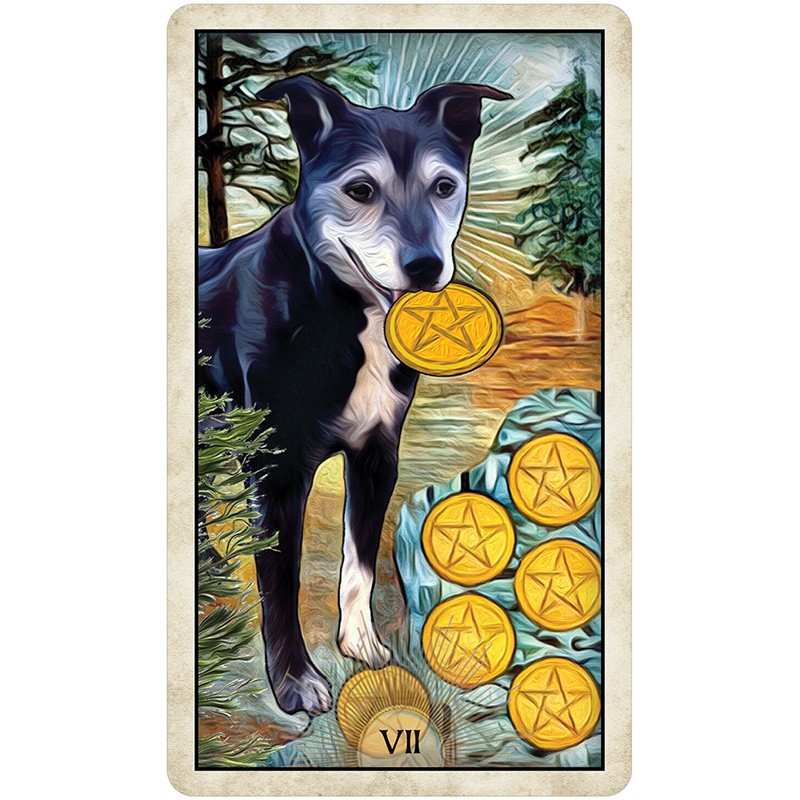 Bộ Bài Wise Dog Tarot (Mystic House Tarot) - Bài Gốc Authentic Chính Hãng 100%