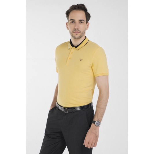 Áo Thun Nam DARNELL, Áo Polo Chính Hãng Cao Cấp, Áo Ngắn Tay Có Cổ, Áo Nam Công Sở Chất Cotton Mềm Mịn Bền Đẹp DN02-10 | BigBuy360 - bigbuy360.vn