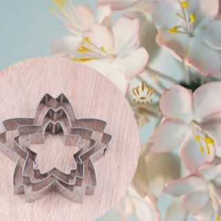 Khuôn cắt hoa anh đào sakura 5 cánh làm hoa đất sét, hoa