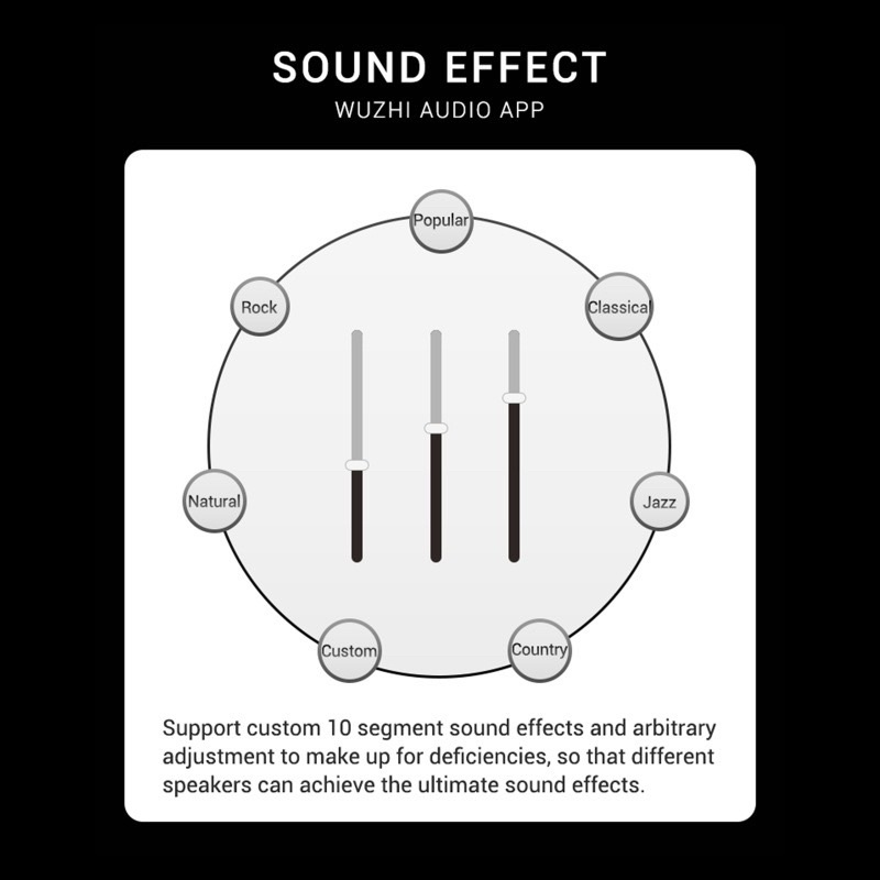 ZK-TB21S-Bảng mạch khuyếch đại âm thanh Wuzhi ZK-TB21S 50W*2 + 100W Chip 3116D2 Bluetooth 5.1 chính hãng