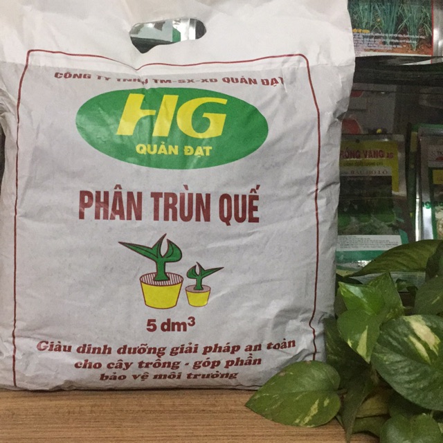 Phân trùn quế