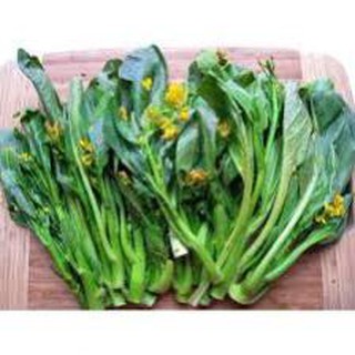 10 gram hạt giống cải ngồng mập