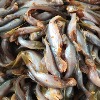 KHÔ CÁ PHÈN 1NẮNG 500GR