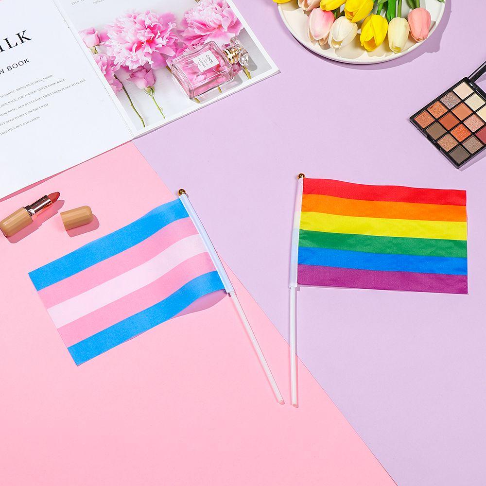 Set 10 Lá Cờ Cầu Vồng LGBT