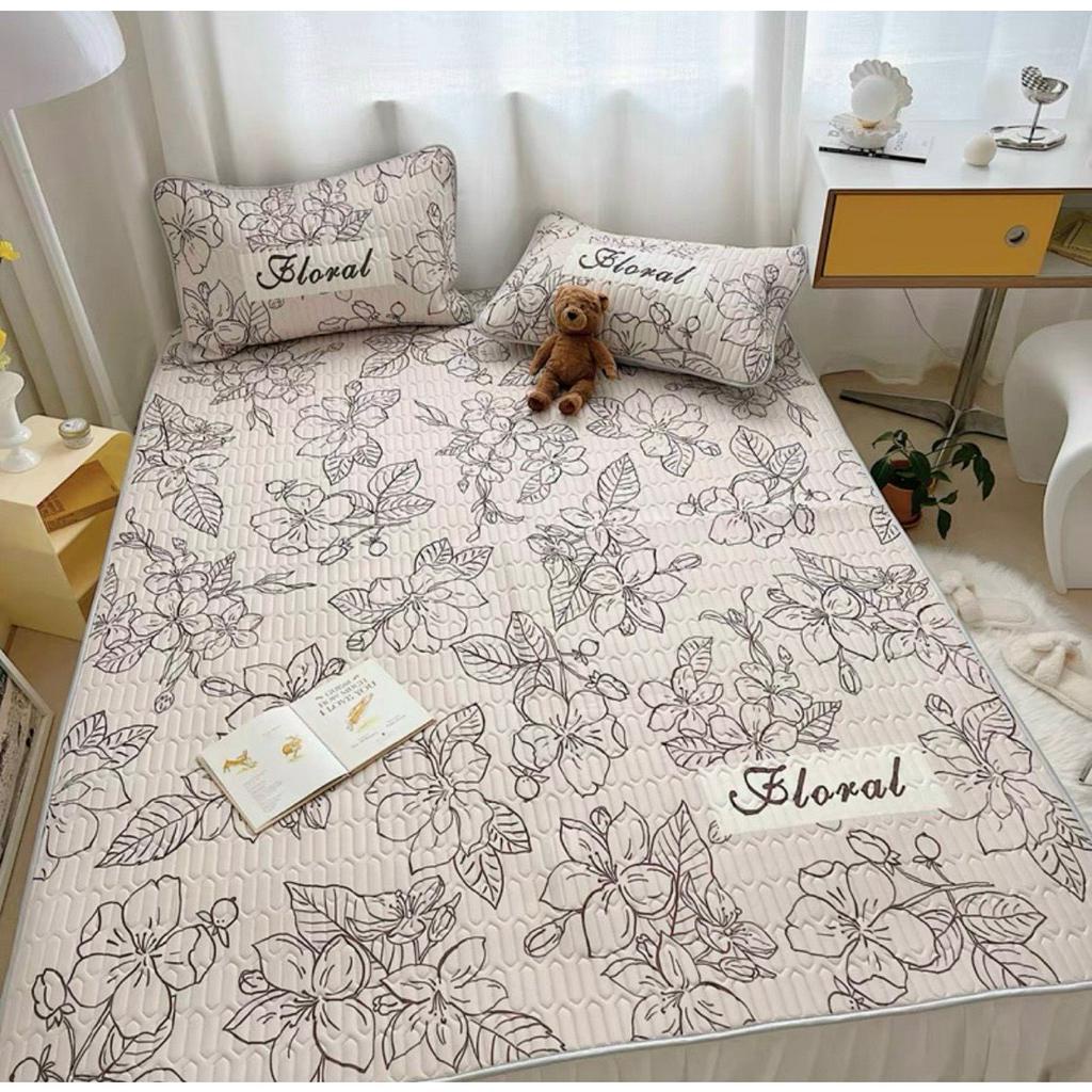 Chiếu Điều Hòa Cao Su Non 6D Hàng Loại 1 Có Sẵn Đủ Size mới nhất 2023  - Ngân Khánh Bedding