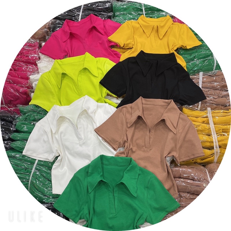 Áo Croptop Pô Lô vạt bầu trơn