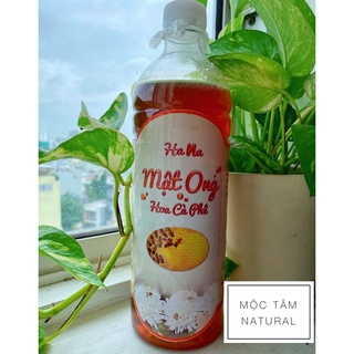  Mật ong hoa cà phê Đăk Lăk nguyên chất 1 lít