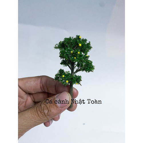 CÂY NHỰA NHÂN TẠO TRANG TRÍ BỂ CÁ TIỂU CẢNH CAO 6CM