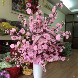 100 cành anh đào loại 1