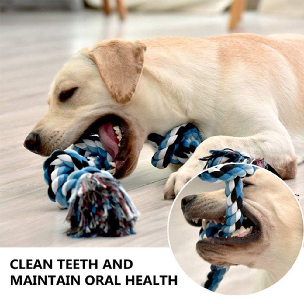Đồ Chơi Dây Thừng Huấn Luyện Thú Cưng Cắn 3 Feet Cỡ Vừa Và Lớn