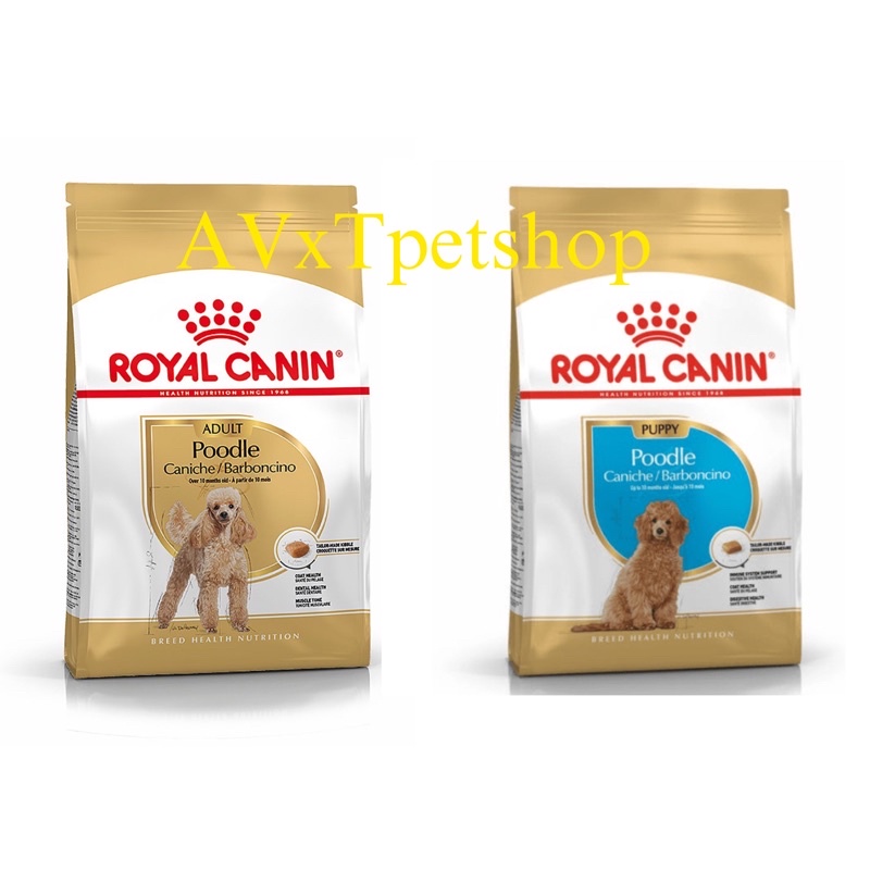 (Chính hãng date mới) Gói 1,5kg Thức ăn hạt Royal Canin cho chó Poodle nhập khẩu Pháp