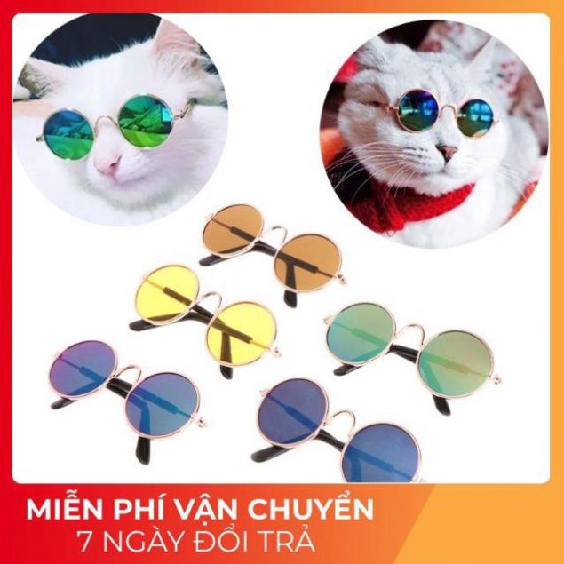 Kính thú cưng Giá tốt nhất