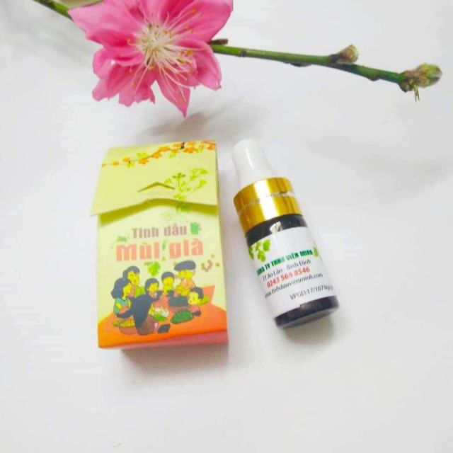 Tinh dầu Mùi già Viên Minh
