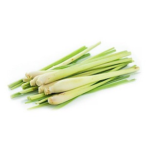Tinh chất mọc tóc, giảm chứng rụng tóc 100% thảo dược cô đặc giúp tóc dày và khoẻ | BigBuy360 - bigbuy360.vn