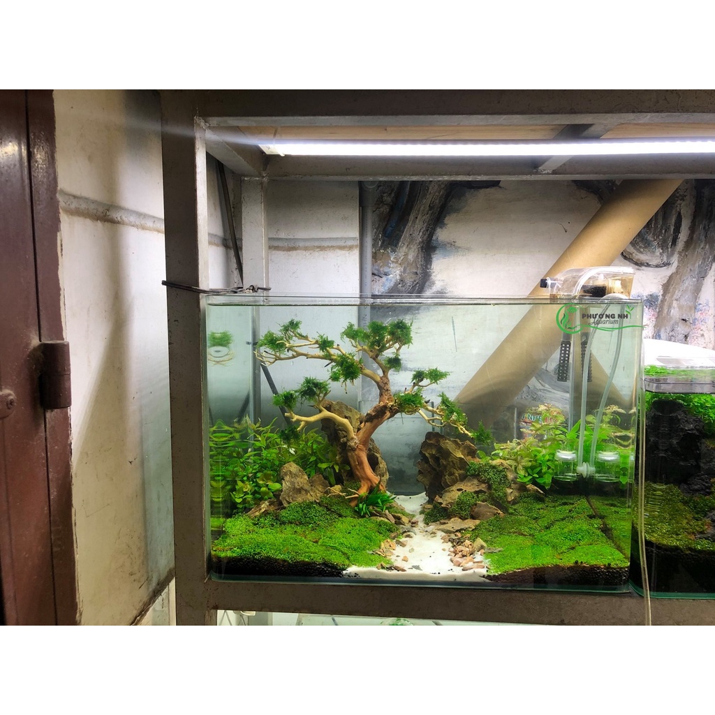 Hồ đúc 50x33x35  giao tại HCM