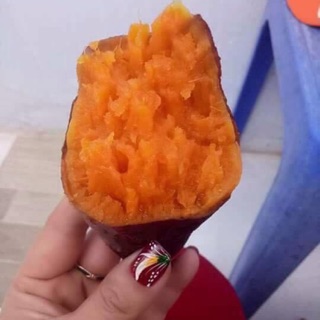 Khoai lang mật Đà Lạt