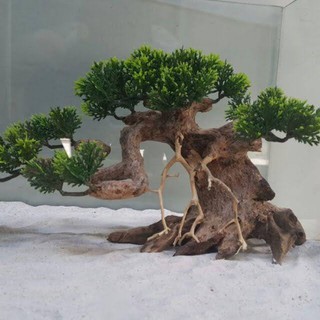 🌲 Cây Lũa Bonsai Thủy Sinh [Gỗ Lũa Thật Gắn Lá Nhựa]