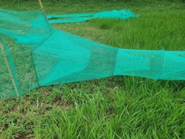 xăm cánh chặn sông dài 10m cao 1,7m khung 60 x80 cm y hình