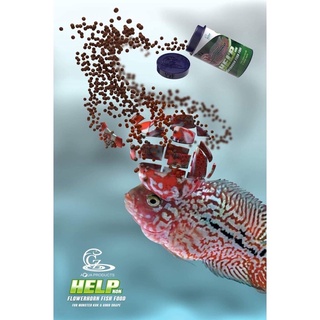 Thức ăn lên đầu cho cá la hán - Cz1 Help Kok 100g (Hàng Thái Lan)