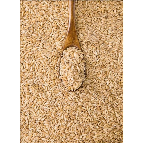 [CHÁY HÀNG] Gạo yến mạch nguyên hạt hàn quốc tươi ngon JUNGWON OATS 800g