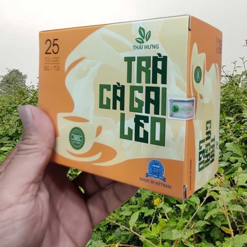 Trà Cà Gai Leo THÁI HƯNG Loại đặc biệt - Mát gan, thải độc gan, bảo vệ tế bào gan