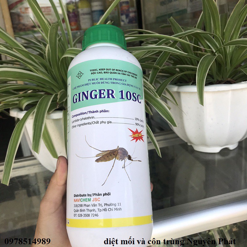 Ginger 10SC - Thuốc diệt muỗi giá rẻ, nhập khẩu Ấn Độ