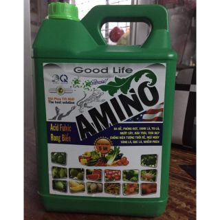 PHÂN BÓN LÁ AMINO AXIT FULVIC RONG BIỂN - CAN 5 LÍT