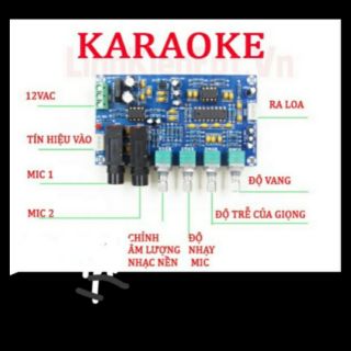 Mạch khuyếch đại âm thanh Karaoke 2 Mic
