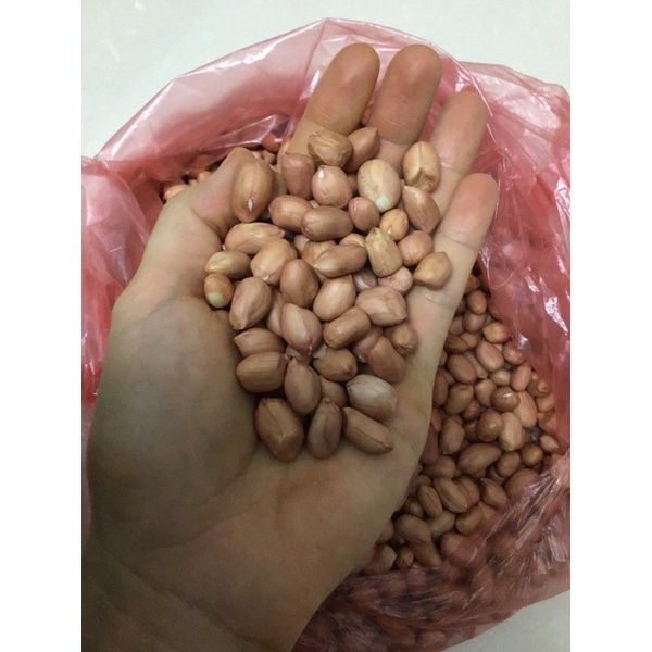 Lạc - đậu phộng bóc vỏ hạt to chắc