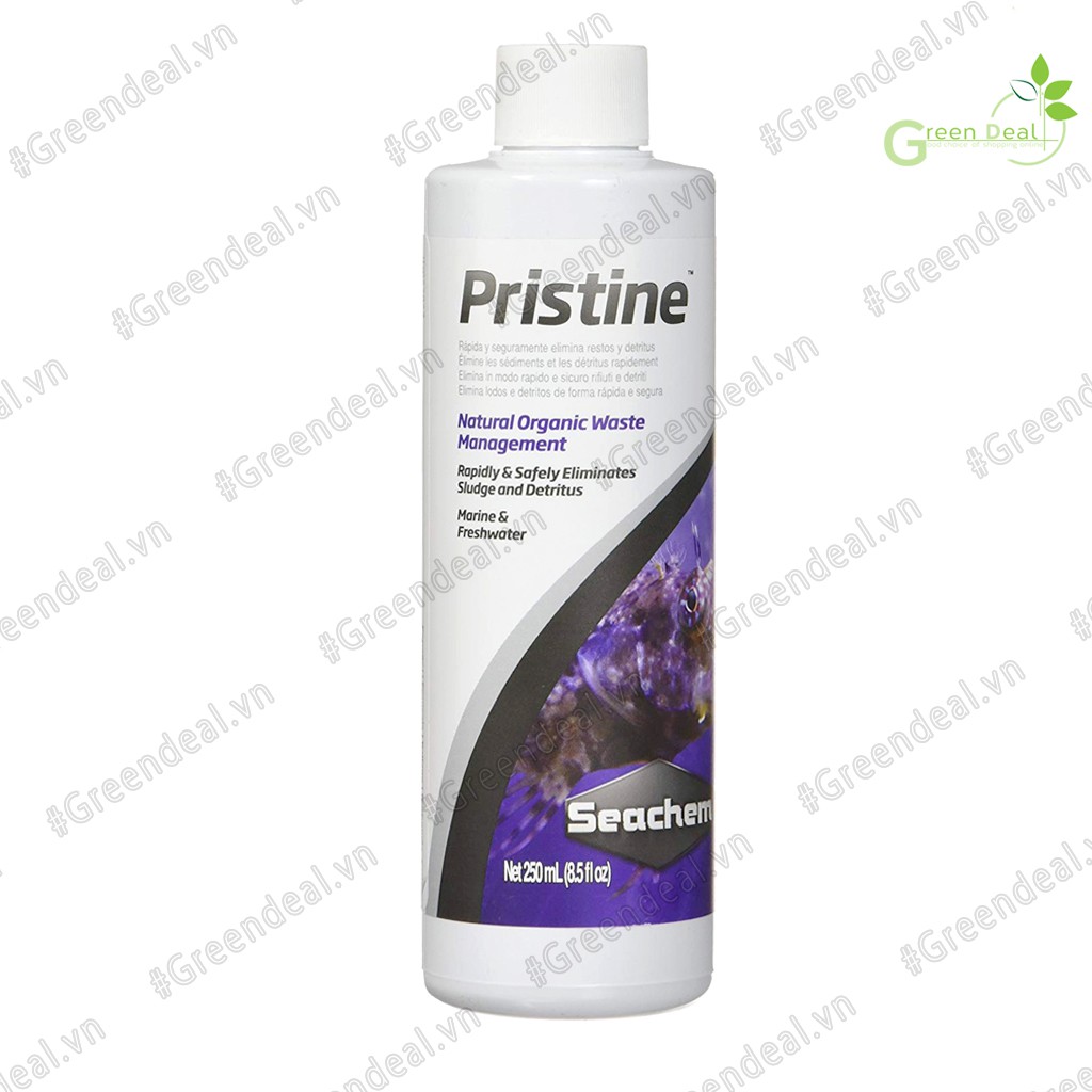 SEACHEM - Pristine (Chai 500 ml) | Vi sinh hồ cá biển thủy sinh