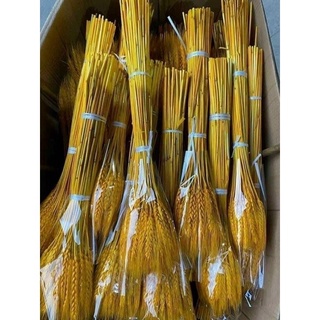 Bông Lúa mạch Sấy Khô,Lúa mạch Trang Trí(Bó 100 nhánh) D.Thoan