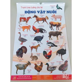 3 bộ tranh treo tường cho bé (6 tờ 14 chủ đề)