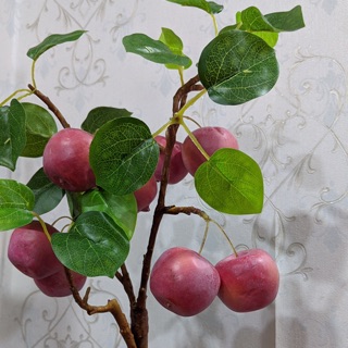 Cành táo 8 quả và nhiều lá xanh tươi. Giá ưu đãi giới thiệu sp mới!!