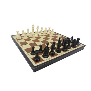 CỜ VUA QUỐC TẾ 2 (SATO 041)