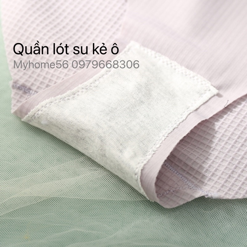 10 quần lót su co giãn 4 chiều cao cấp 2290
