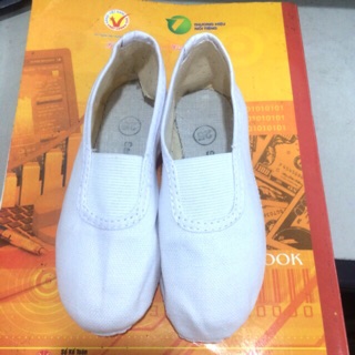 Combo 25 đôi múa bale không dây