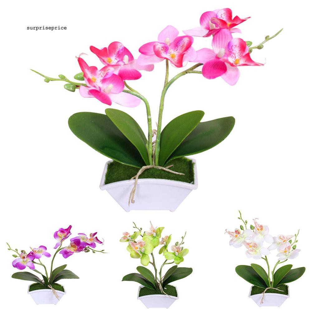 Hoa phong lan giả đẹp mắt dùng để trang trí đa năng