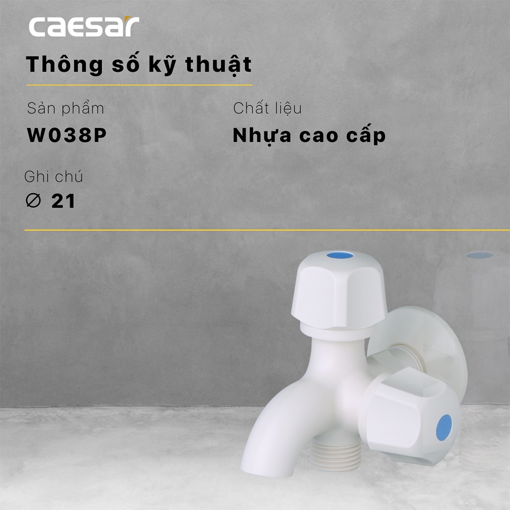 Vòi sen tắm gắn tường CAESAR W038P sử dụng cho đường nước lạnh, có thể kết hợp giữa vòi xả chậu và tay sen tắm