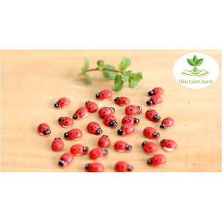 Bọ rùa trang trí tiểu cảnh