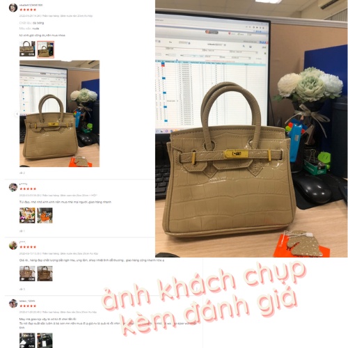 Túi Bikin 2 Quai Xách Tay Đi Tiệc Vân Rắn Chất Đẹp Da Mềm Size 20, 25 Bản Vip
