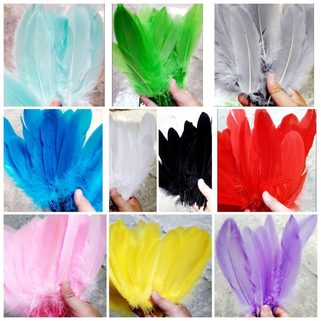 Lông vũ LỚN - màu trắng và đủ màu : 1 bịch 10g khoảng 20 cái