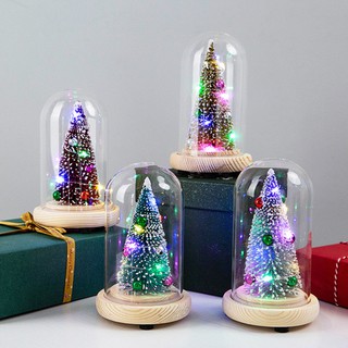 Đèn trâng tri, cây thông noel trang trí gianh sinh năm mơi