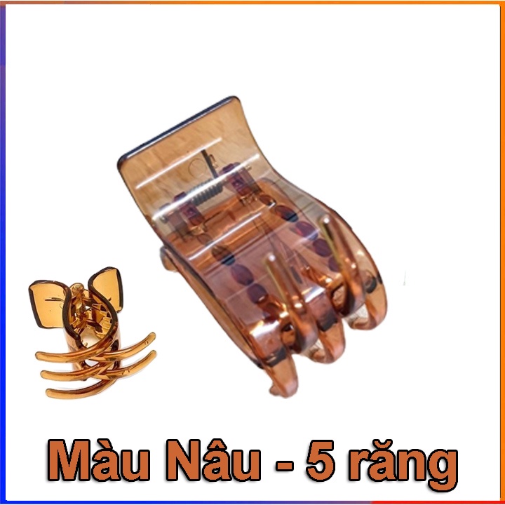 Kẹp tóc nhựa càng cua Hàn Quốc 5 răng ( nhiều màu sắc )