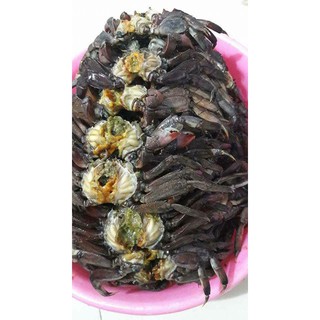 Ba khía trộn tỏi ớt ngon sạch hao cơm (hũ 500g)
