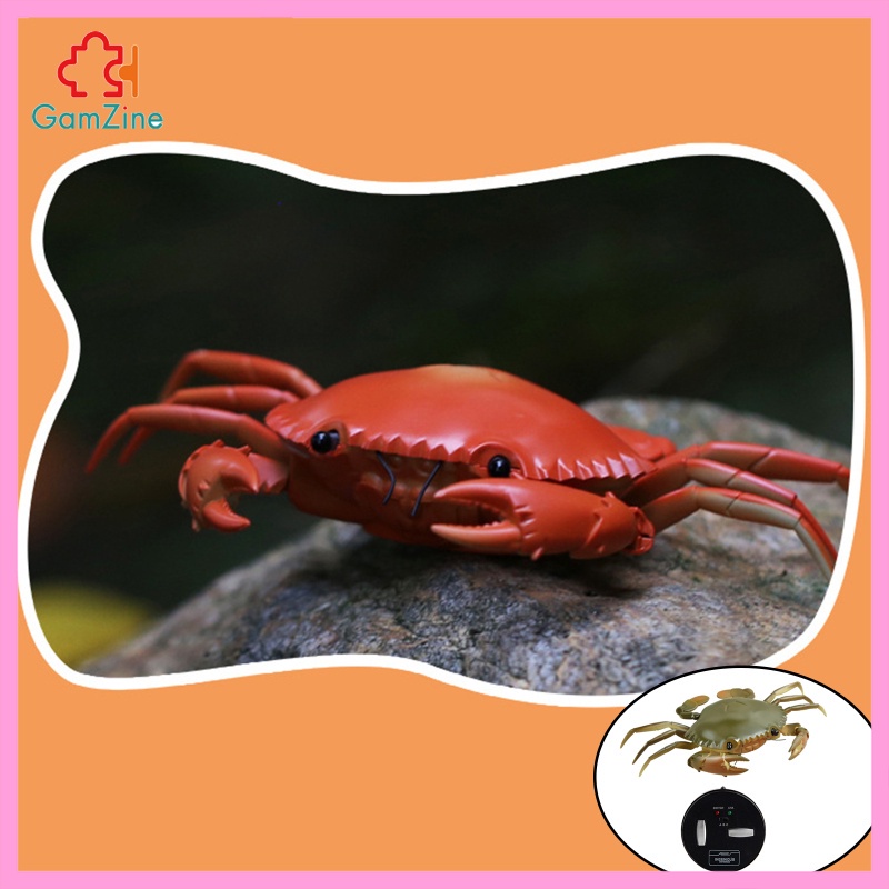 Mô Hình Cua Đồ Chơi Điều Khiển Từ Xa Sáng Tạo lzdxwcke2