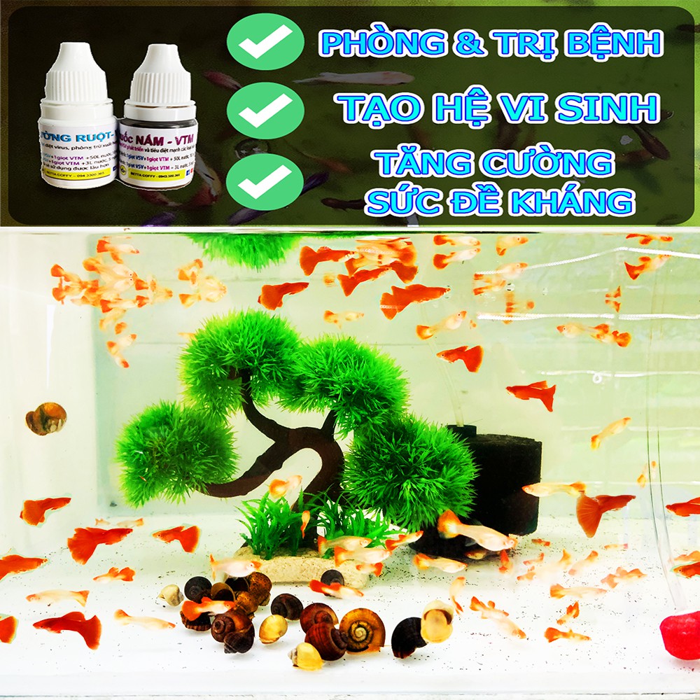 Bộ van - nối - chia dây oxy cho hồ cá - Xem kỹ phân loại